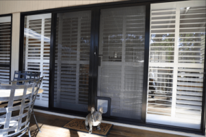 Secureforce Door | Featured Image for the Energy Efficient Security Doors – Exploring Their Advantages blog by U Blinds Australia.