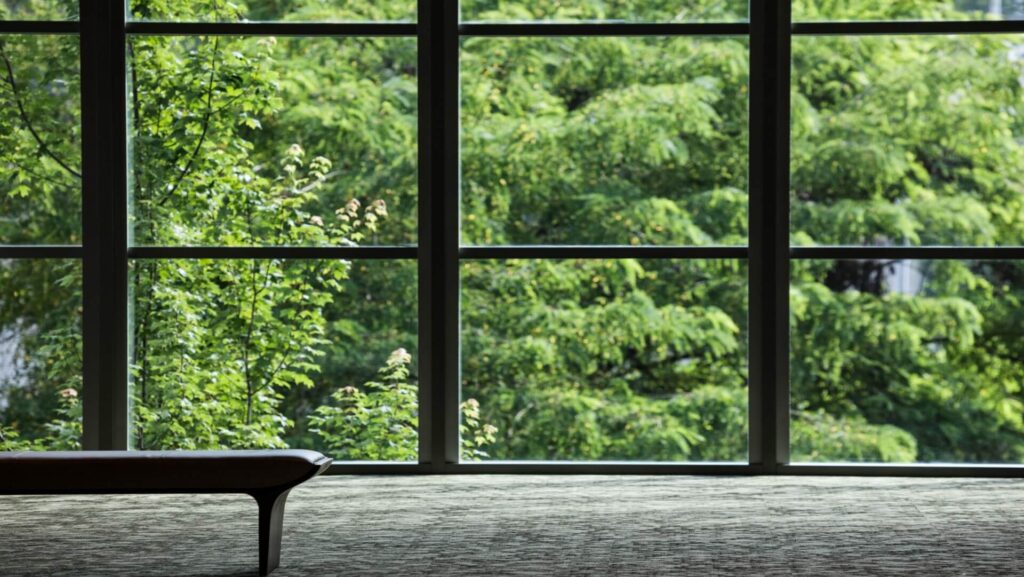 Lobby window by trees | Featured Image for the Mid Century Modern Window Treatments Design Ideas blog by U Blinds Australia.