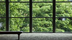 Lobby window by trees | Featured Image for the Mid Century Modern Window Treatments Design Ideas blog by U Blinds Australia.